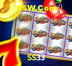 Login Seguro SS33