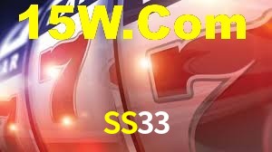 SS33 App Interface