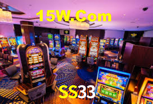 SS33