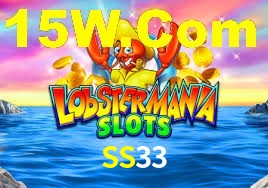 SS33